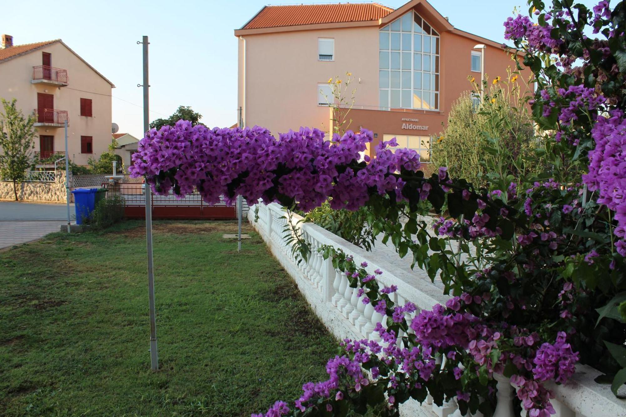 Apartment Mladen Biograd Na Moru Exteriér fotografie