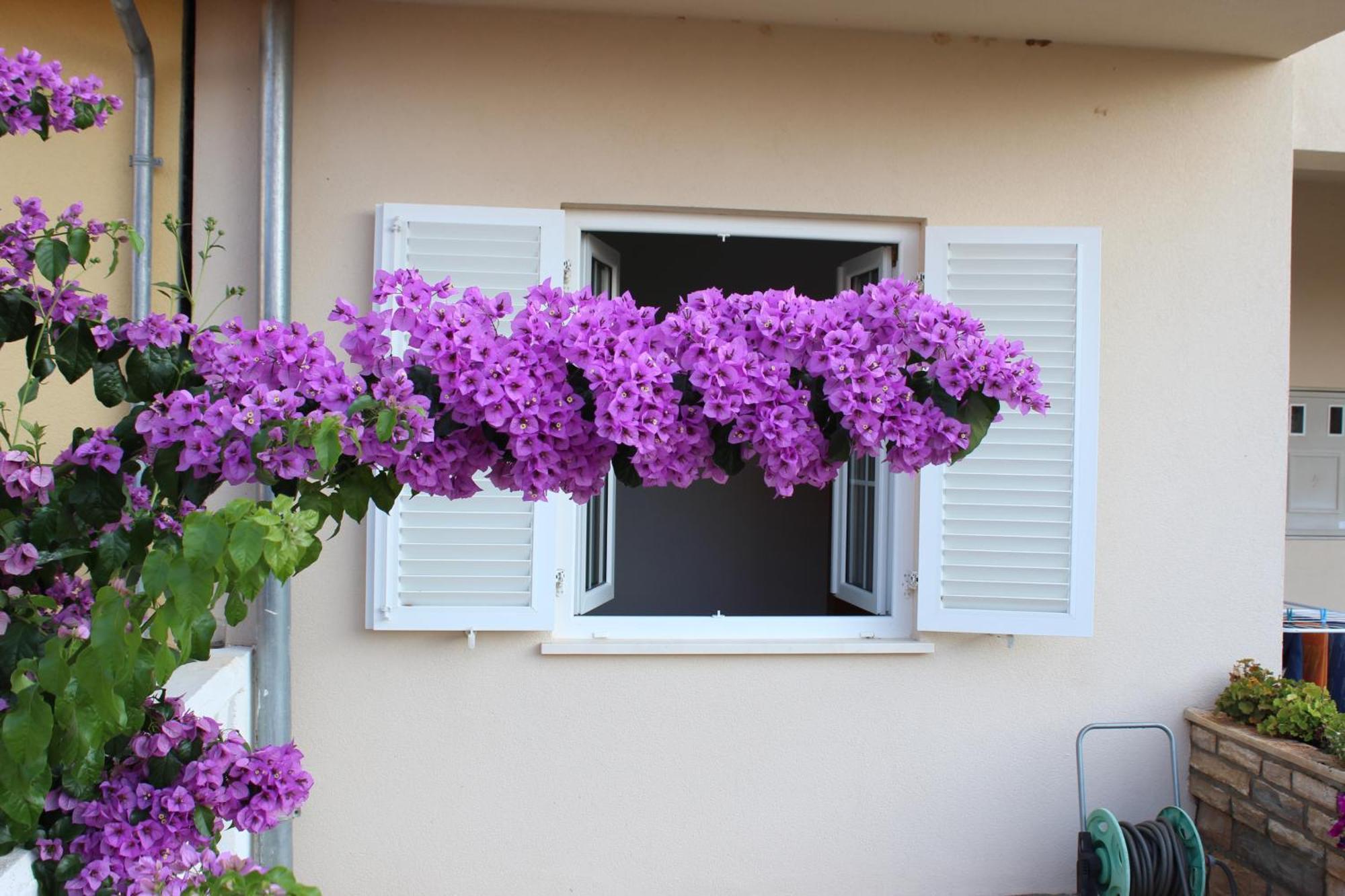 Apartment Mladen Biograd Na Moru Exteriér fotografie